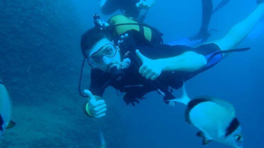 From Side: Guided Scuba Diving in Alanya w/ Lunch & Transfer - Who should book this Alanya outing?