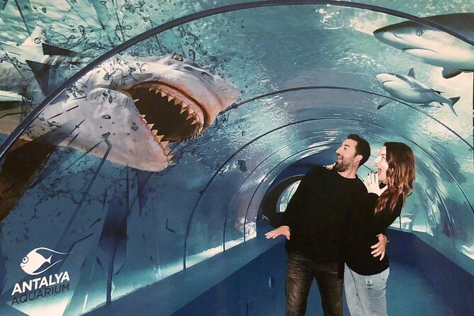 Half Day Antalya Aquarium Tour And Wax Museum - The hotel pickup and ride to the aquarium