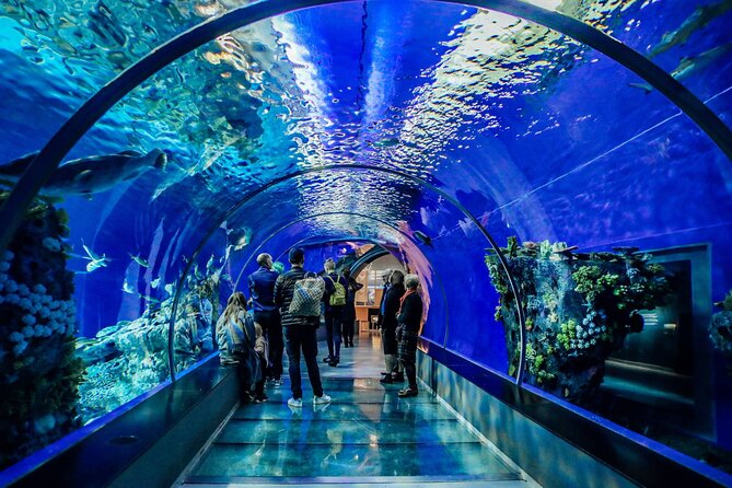 Half Day Antalya Aquarium Tour And Wax Museum - Thematic aquariums and activities for different ages