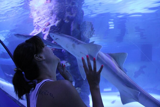 Half Day Antalya Aquarium Tour And Wax Museum - Face2Face Wax Museum in about 30 minutes