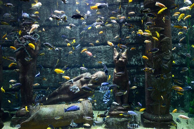 Half Day Antalya Aquarium Tour And Wax Museum - Who will get the most from this tour
