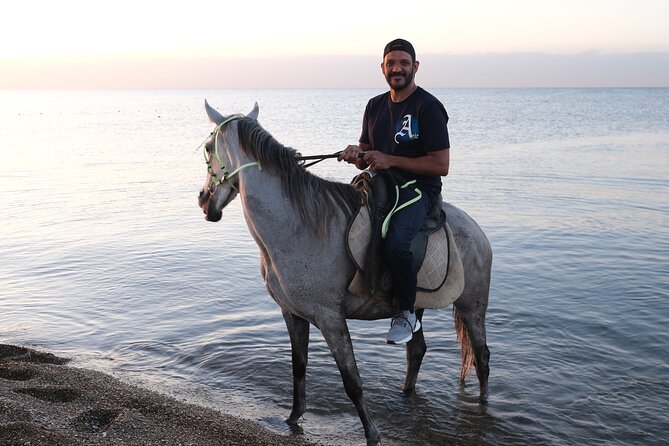 Horse back Riding in Antalya - A forest-to-coast ride near Antalya