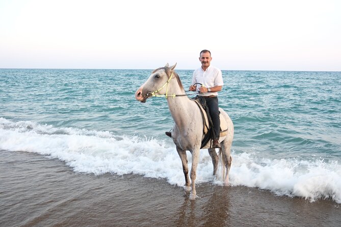 Horse back Riding in Antalya - Horses, helmets, and rider safety