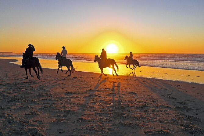 Horse Riding in Antalya,Belek,Lara Beach(Sunrise,Sunset,Day Time) - Horses, helmets, and safety concerns