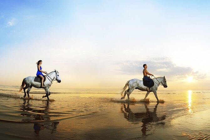 Horse Riding in Antalya,Belek,Lara Beach(Sunrise,Sunset,Day Time) - Hotel pickup and the practical side of the day