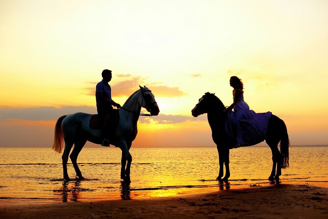 Horse Riding in Antalya,Belek,Lara Beach(Sunrise,Sunset,Day Time) - Is $41.54 good value?