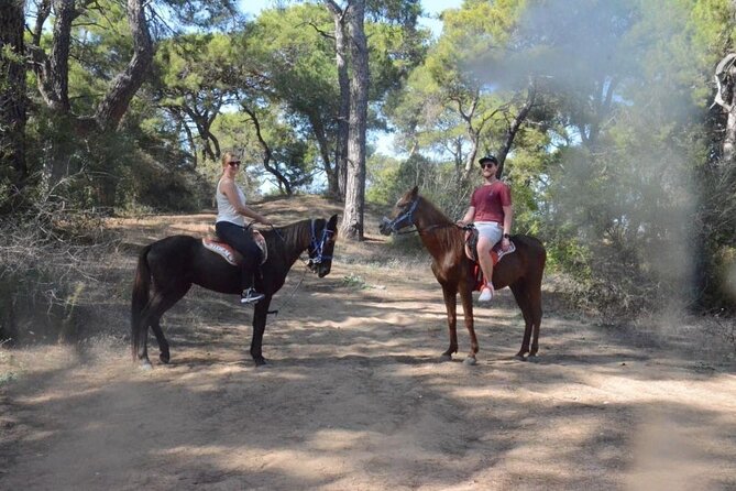 Horse Riding in Manavgat Side Forest and Beach - Hotel pickup and the ride to the horse club