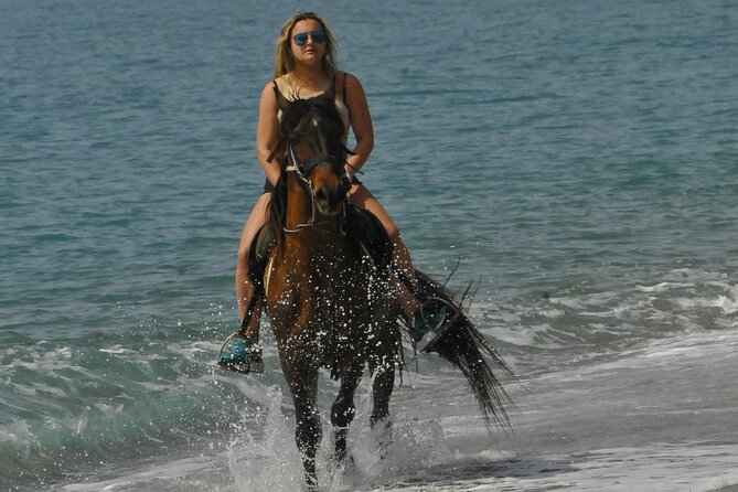Horse Riding in Manavgat Side Forest and Beach - Family suitability and group comfort