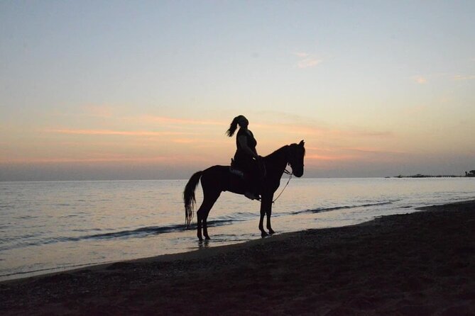 Horse Riding in Manavgat Side Forest and Beach - Safety, horses, and practical comfort