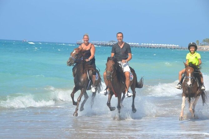 Horse Riding in Manavgat Side Forest and Beach - Meeting your horse and learning the basics