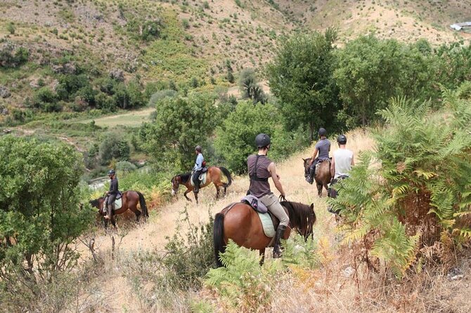 Kemer Horse Safari Experience With Free Hotel Transfer - Leaving Kemer for the Horse Ranch