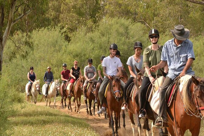Kemer Horse Safari Experience With Free Hotel Transfer - What the $60 Price Really Covers
