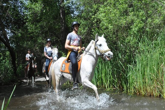 Kemer Horse Safari Experience With Free Hotel Transfer - Timing, Pickup, and Small Details That Matter