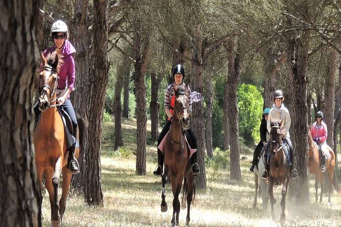 Kemer Horse Safari Experience With Free Hotel Transfer - How to Prepare for a Better Ride