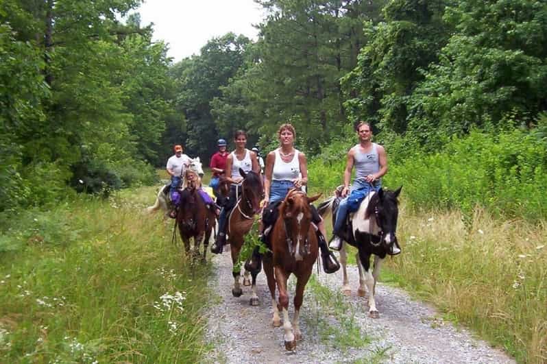 Kemer Horse Safari, pick up from Kiris, Beldibi, Goynuk - A Quiet Ride Through Kemer’s Pine Forests