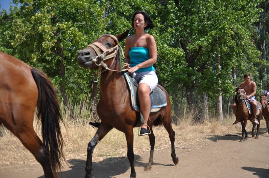 Kemer Horse Safari, pick up from Kiris, Beldibi, Goynuk - Horses, Guides, and Safety