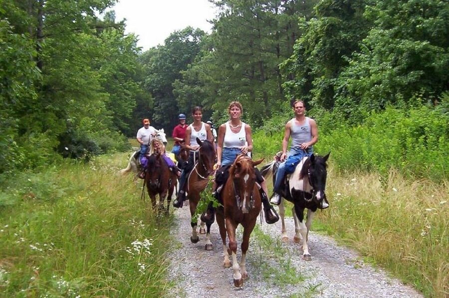 Kemer Horse Safari, pick up from Kiris, Beldibi, Goynuk - Is $47 Good Value?