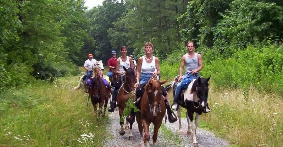 Kemer Horse Safari, pick up from Kiris, Beldibi, Goynuk - Practical Tips Before You Go