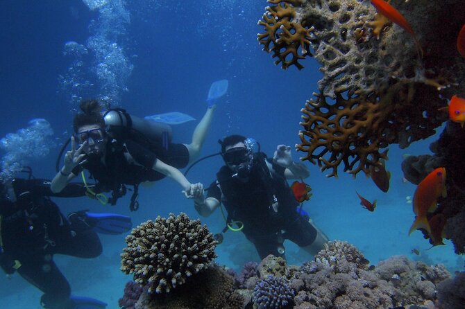 Kemer Scuba Diving Experience: Two Dives with Lunch - What to bring and how to prepare