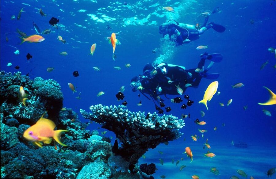 Kemer Scuba Diving with Expert Diving Option - Is $35 a fair price?