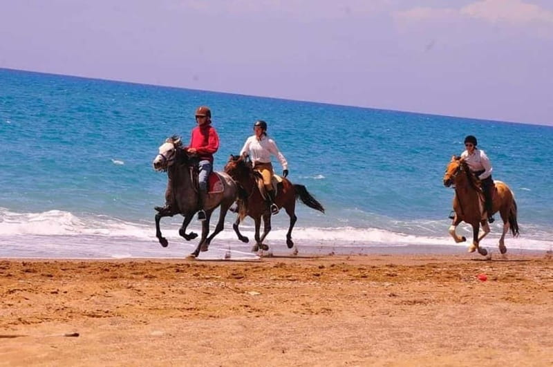 Manavgat Side: Horse Riding on the Beach and in the Forest - Meeting the horses and learning the basics