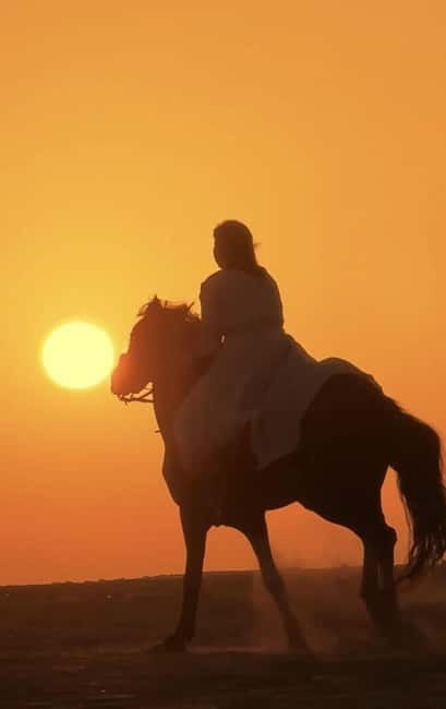 Manavgat Side: Horse Riding on the Beach and in the Forest - Is $58 good value for this Side activity?