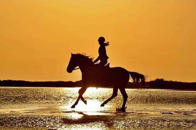 Manavgat Side: Horse Riding on the Beach and in the Forest - What the one-hour ride actually includes