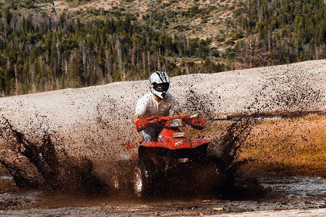 Quad Safari Experience in Alanya (Adventure Tour) w/ Free Hotel Transfer - Transfers and the half-day schedule