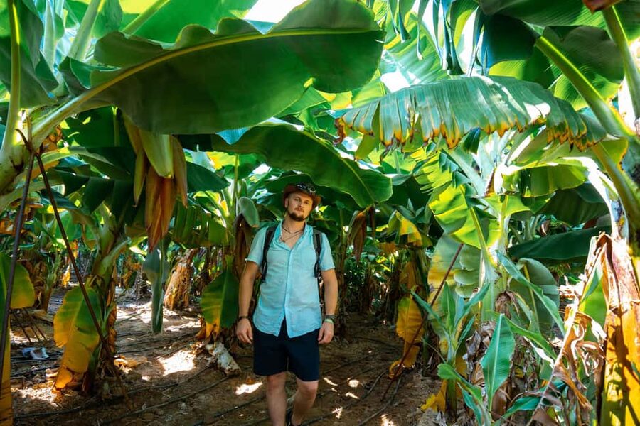 Sapadere Tour with Dimçay Lunch, Cave, Tropical Fruit Garden - The Dimçay River lunch stop