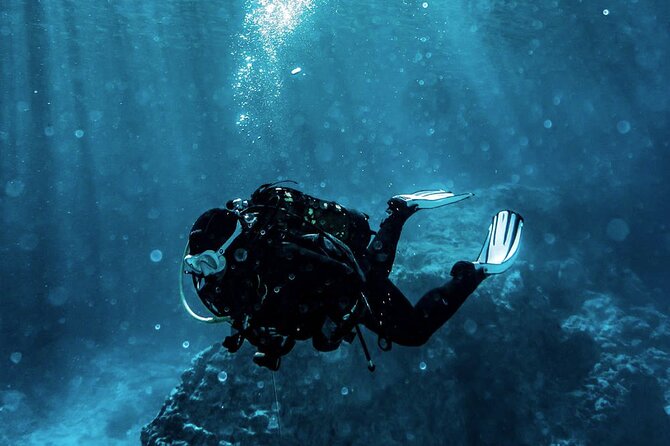 Scuba Diving Experience in Alanya With Lunch and 2 Dives - Key points to know before booking