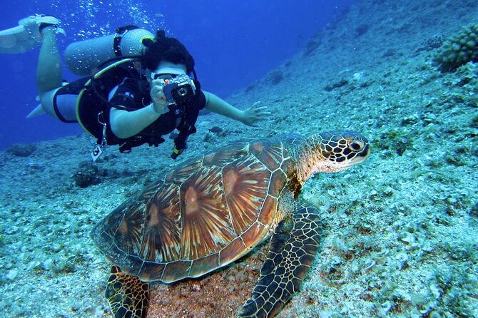 Scuba Diving Experience in Alanya With Lunch and 2 Dives - The crew and the human side of the day
