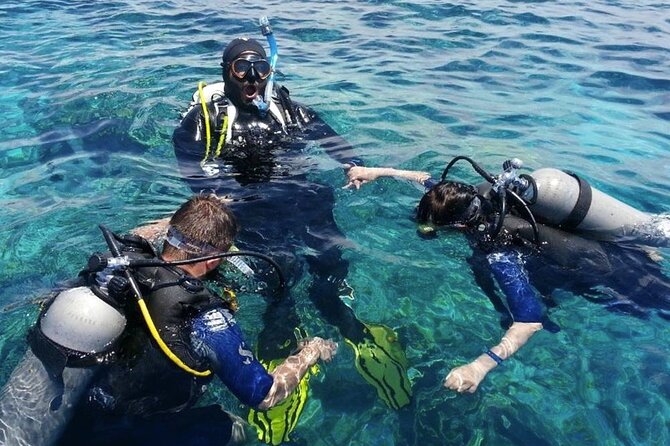 Scuba Diving Experience in Alanya With Lunch and 2 Dives - Two coastal spots, with realistic expectations