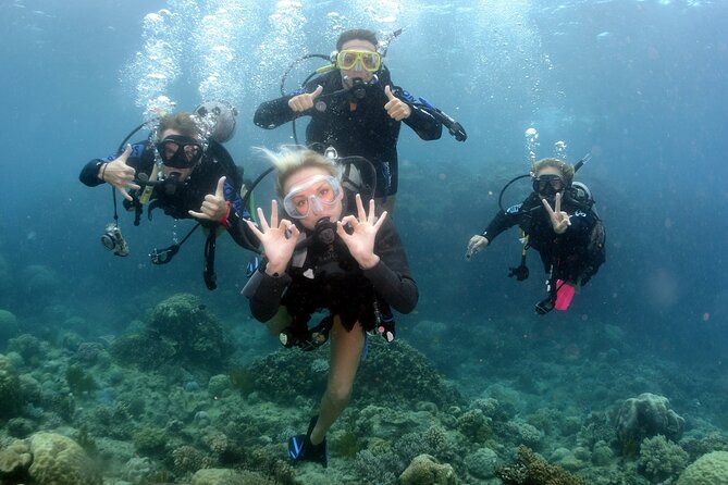 Scuba Diving in Antalya from Antalya & Kemer - Practical advice for a smoother day