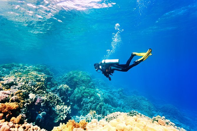 Scuba Diving in Side - Hakan’s safety briefing is the key strength