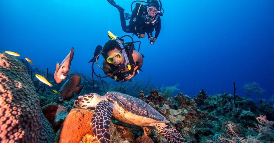 Scuba Diving Tour with Transfer From Alanya and city of Side - What the $59 price really gives you