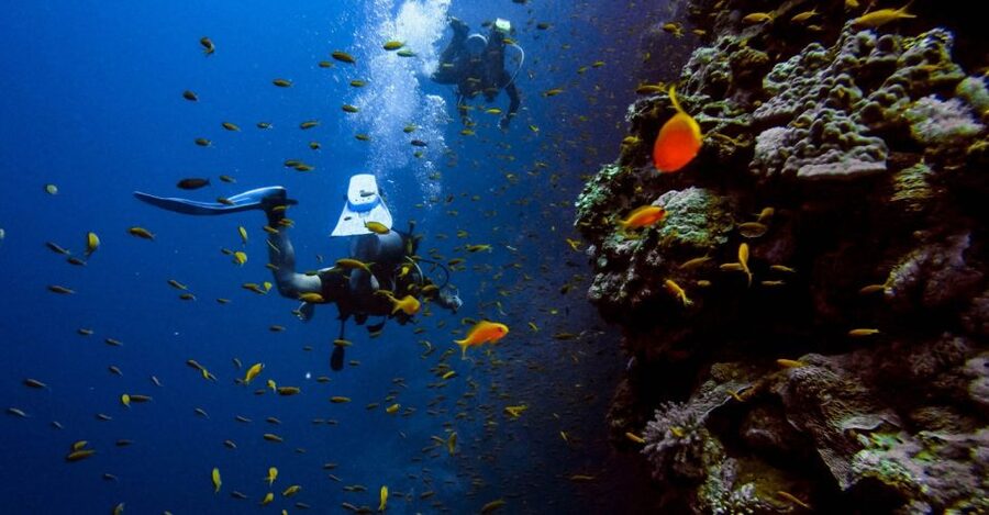 Scuba Diving Tour with Transfer From Alanya and city of Side - Who will enjoy this most