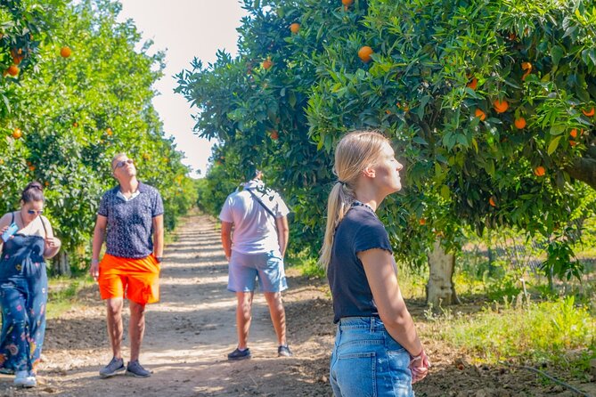 "Side: 5-in-1 Green Canyon, Waterfalls & Ancient Sites Tour" - A short stop at Manavgat Dam