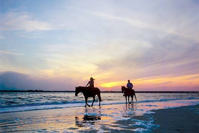 Side Horse Riding On Beach And Through The Forests For 2 Hours - Horse welfare is the most serious question