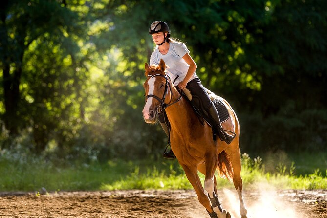 Side Horse Riding On Beach And Through The Forests For 2 Hours - Who should consider this Side outing