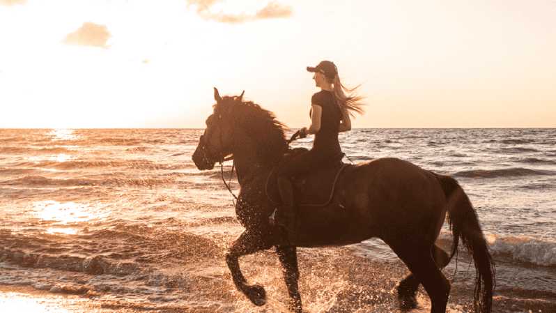Side: Horseback Riding Tour in Nature - Riding between Side’s coast and ancient ruins