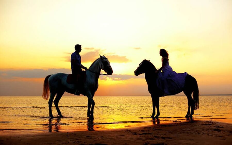Side: Horseback Riding Tour in Nature - The guaranteed hour in the saddle