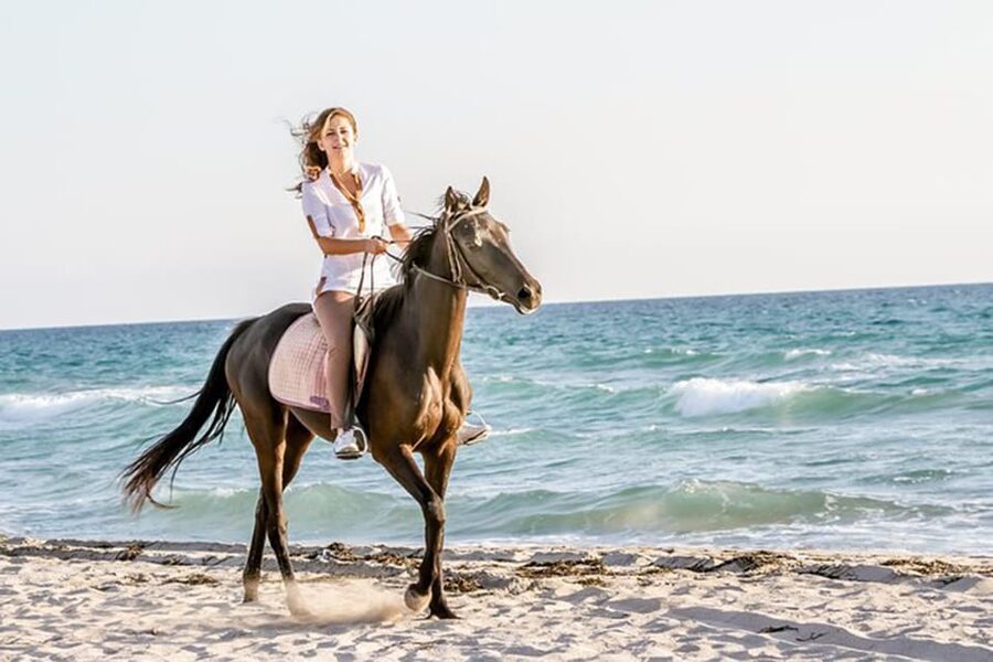Side: Horseback Riding Tour in Nature - Safety, horse welfare, and transport concerns