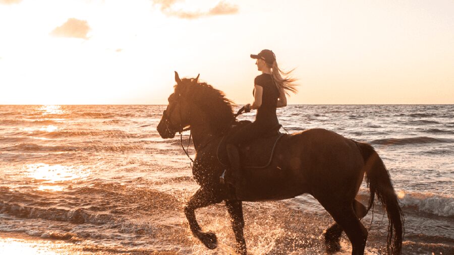 Side: Horseback Riding Tour in Nature - What to bring and what not to expect