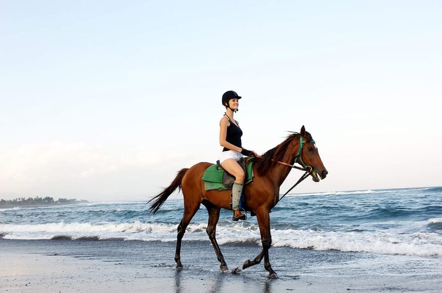 Side: Horseback Riding Tour in Nature - Is $58 a fair price?