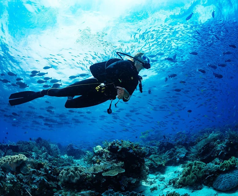 Side: Scuba Diving Tour Journey To The Depths Of The Blue - Boat time, photographs, and extra costs