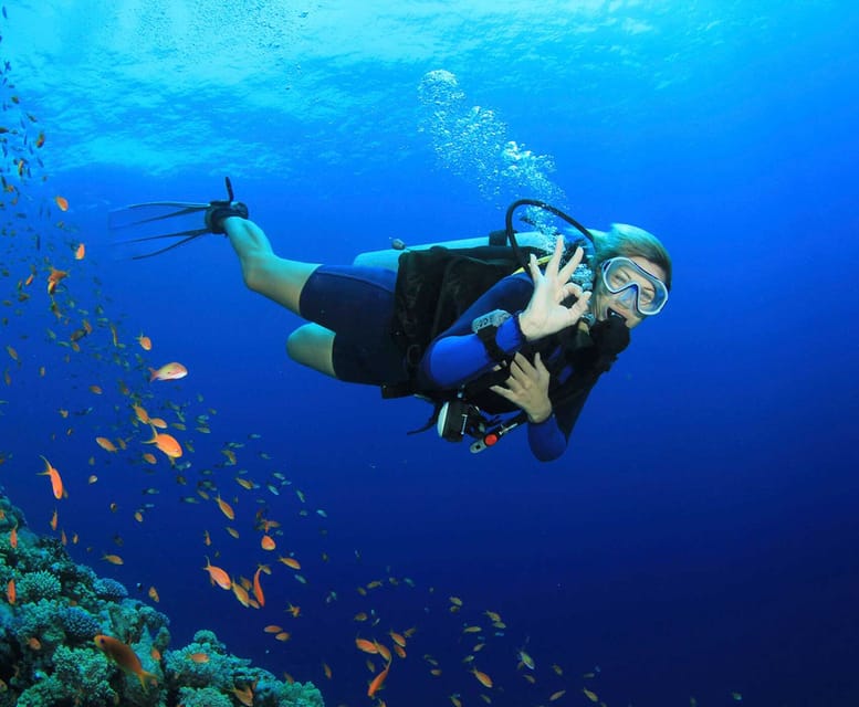 Side: Scuba Diving Tour Journey To The Depths Of The Blue - Safety, age rules, and who should book