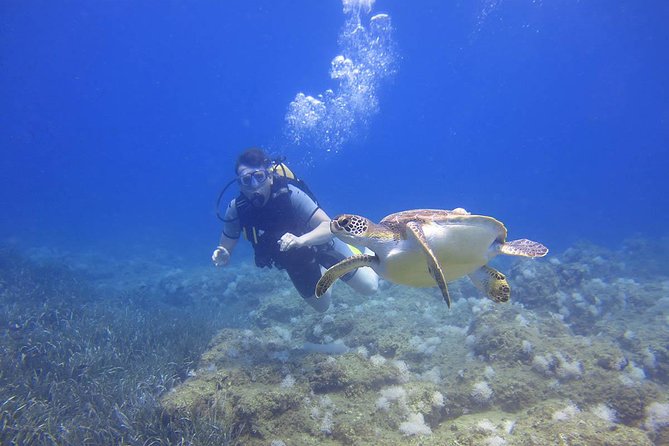 Side: Scuba Diving Under Water Museum - Two sessions, with support beside you