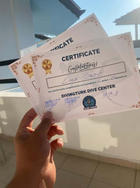 Side: Scuba Diving & Under Water Museum with Hotel Transfer - Key points to know before booking