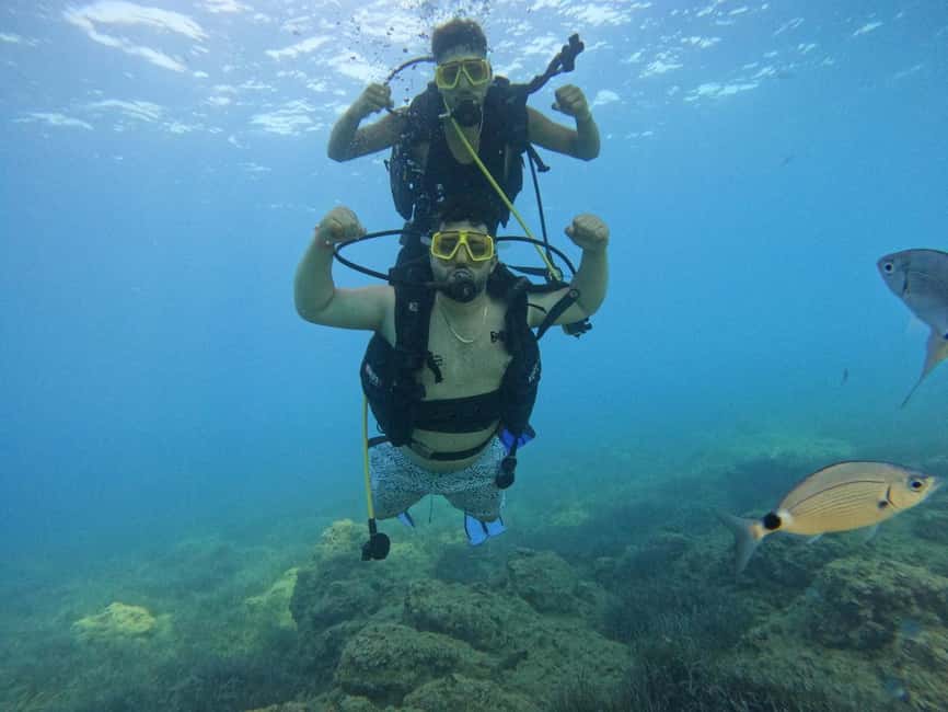 Side: Scuba Diving & Under Water Museum with Hotel Transfer - Two Mediterranean sessions, chosen on the day