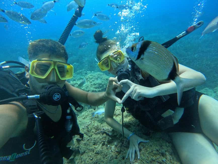 Side: Scuba Diving & Under Water Museum with Hotel Transfer - Who will enjoy this most